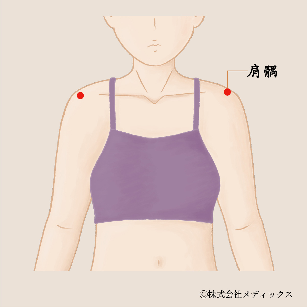 【肩髃】肩のコリと痛みを改善する重要なツボ