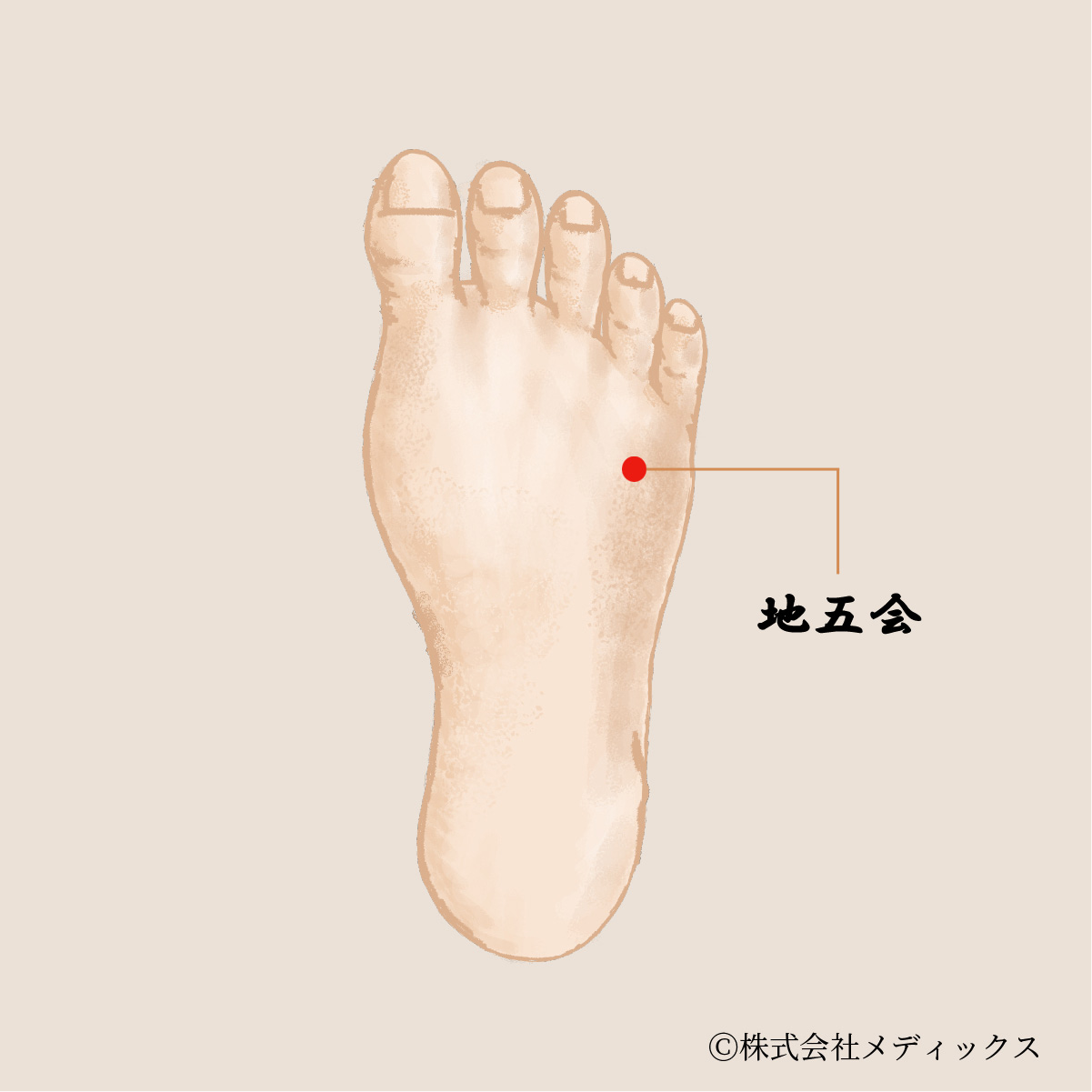 【地五会】全身の痛みと不調を改善する万能ツボ