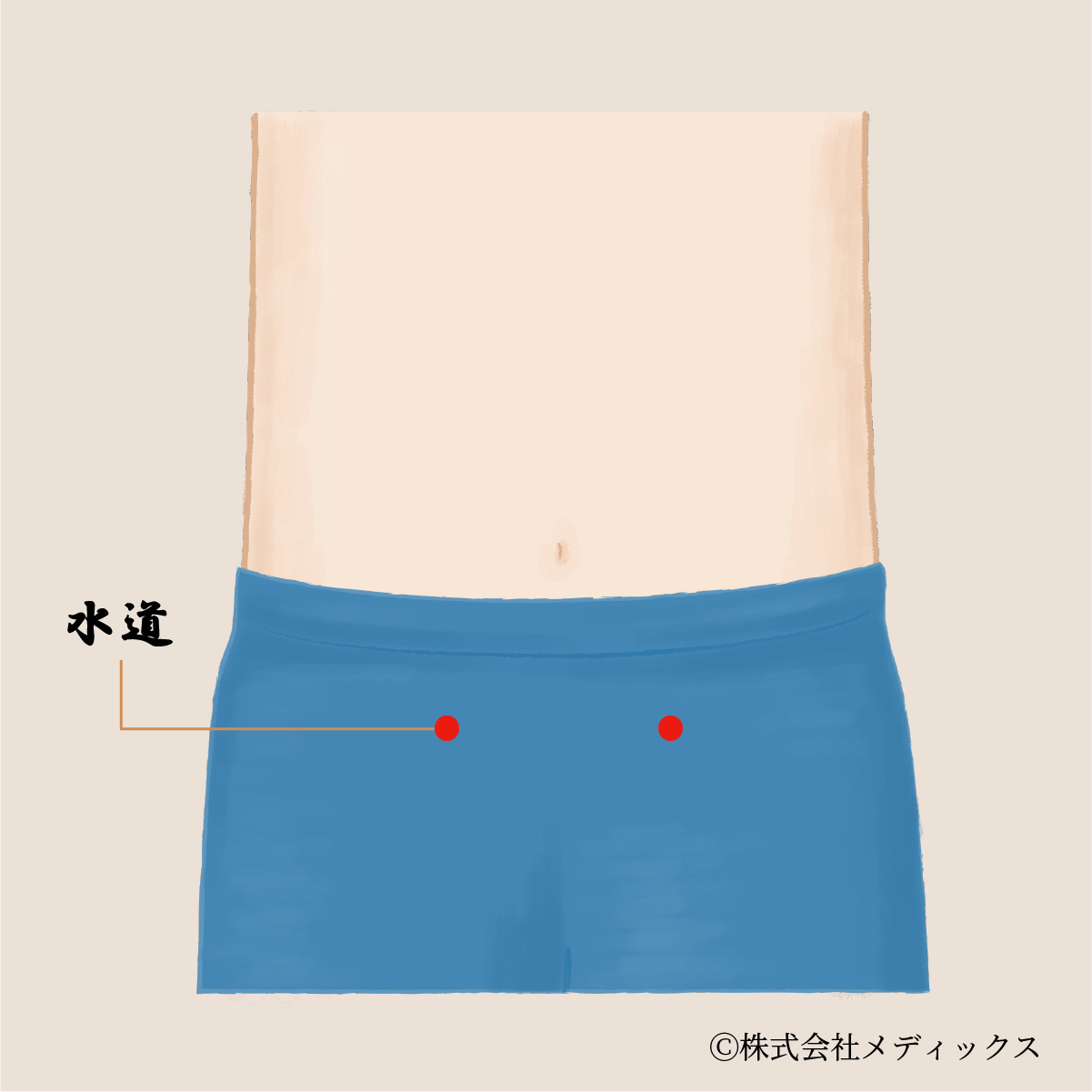 【水道】浮腫みや排尿障害を改善する重要なツボ