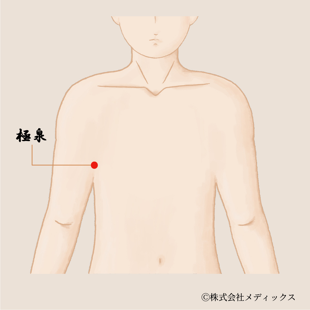 【極泉】心と体を調和させる重要なツボ