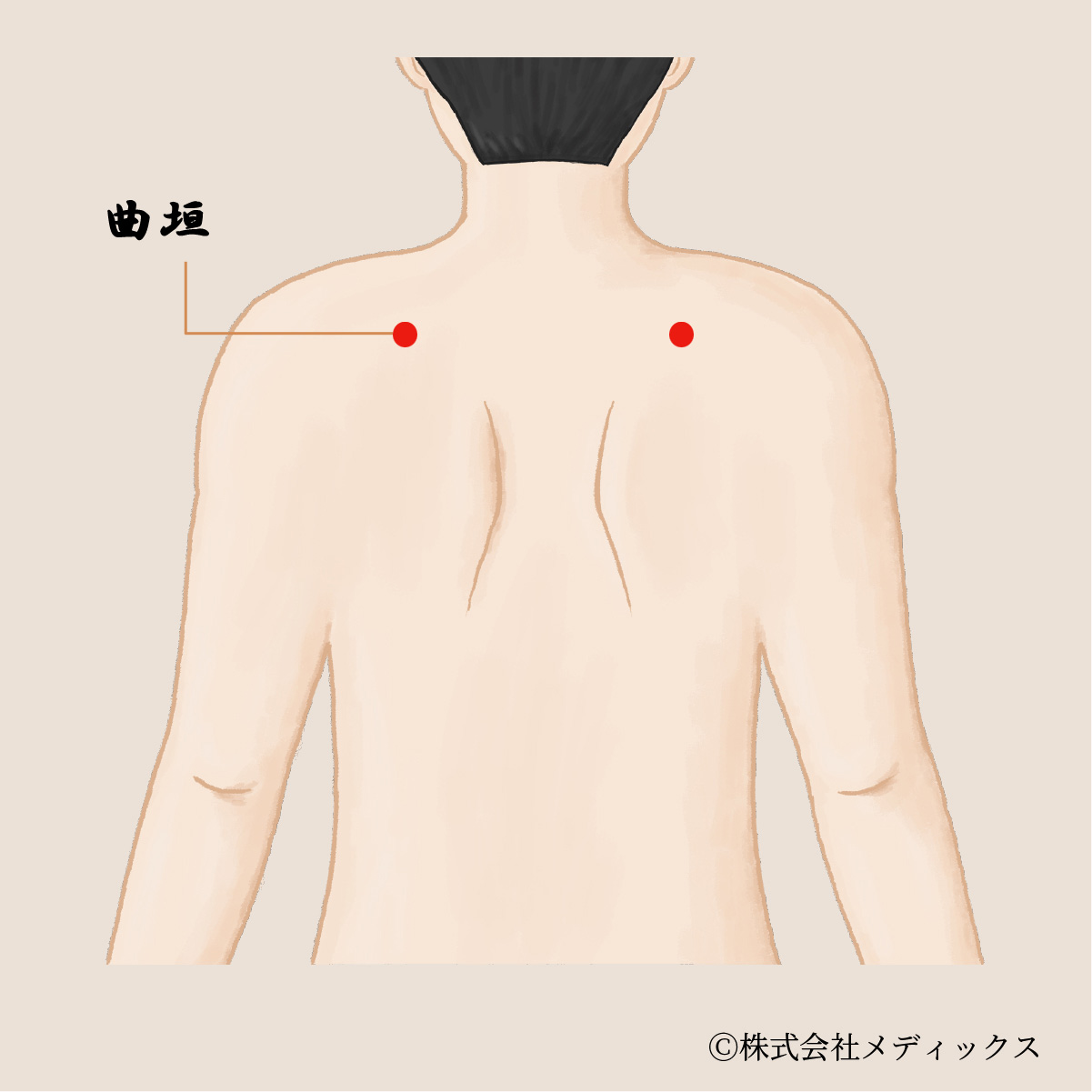 【曲垣】肩こりと首の痛みを和らげる効果的なツボ