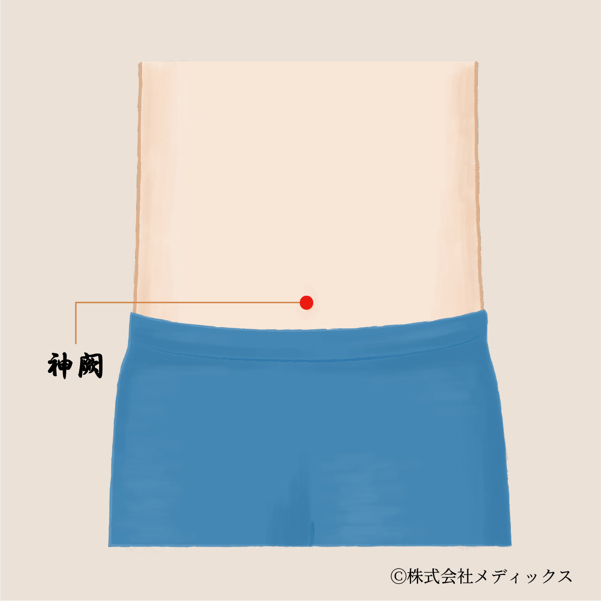 神闕】体内の機能を呼び覚ますおへその中心ツボ｜メディックスブログ