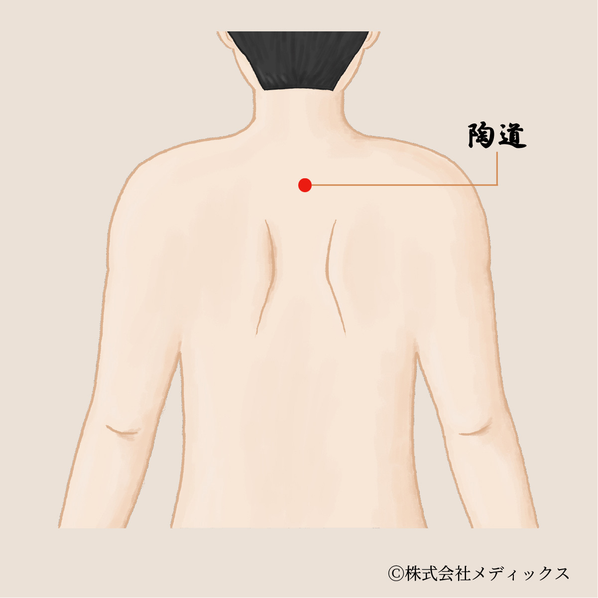 【陶道】背中の熱を取り除き心を落ち着かせる重要なツボ