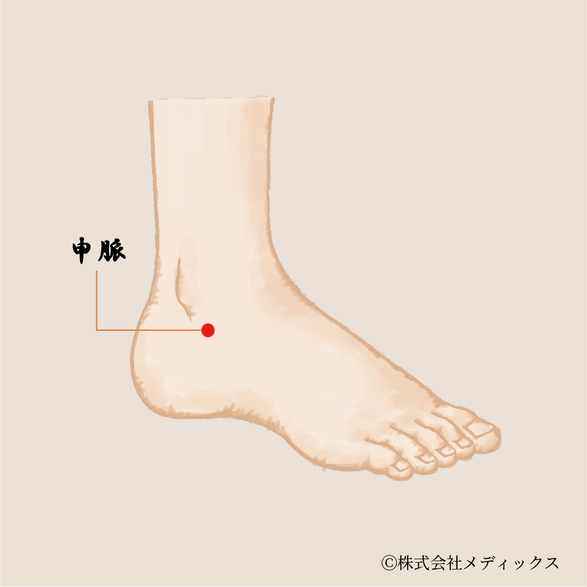 【中脈】足首まわりの緊張をゆるめ、気の通りを整えるツボ