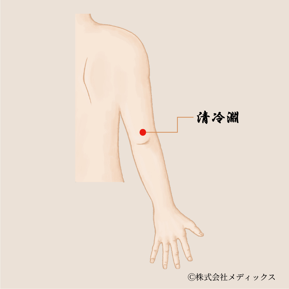 【清冷淵】ひじの外側から腕の冷えや痛みを鎮めるツボ