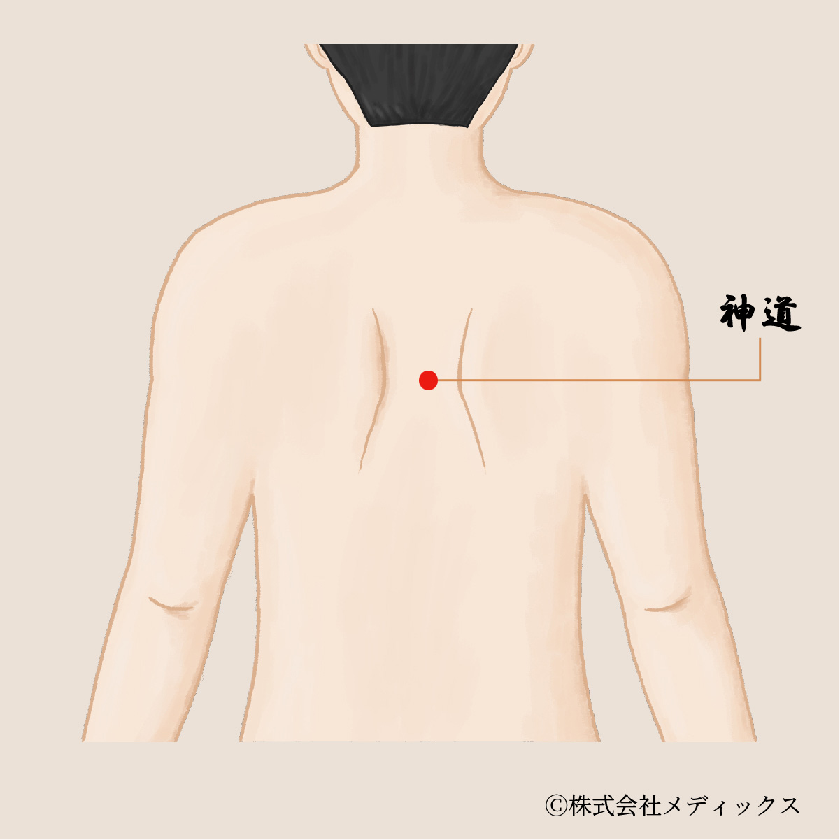 【神道】精神を安定させ心のバランスを整える重要なツボ