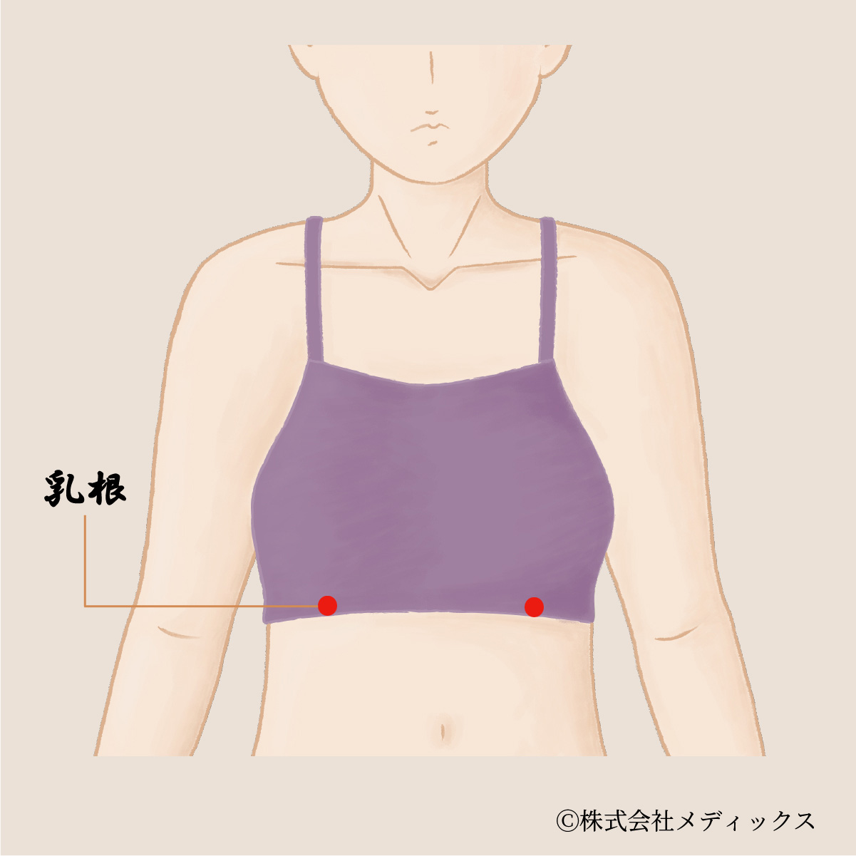 【乳根】胸部の健康を支える重要なツボ