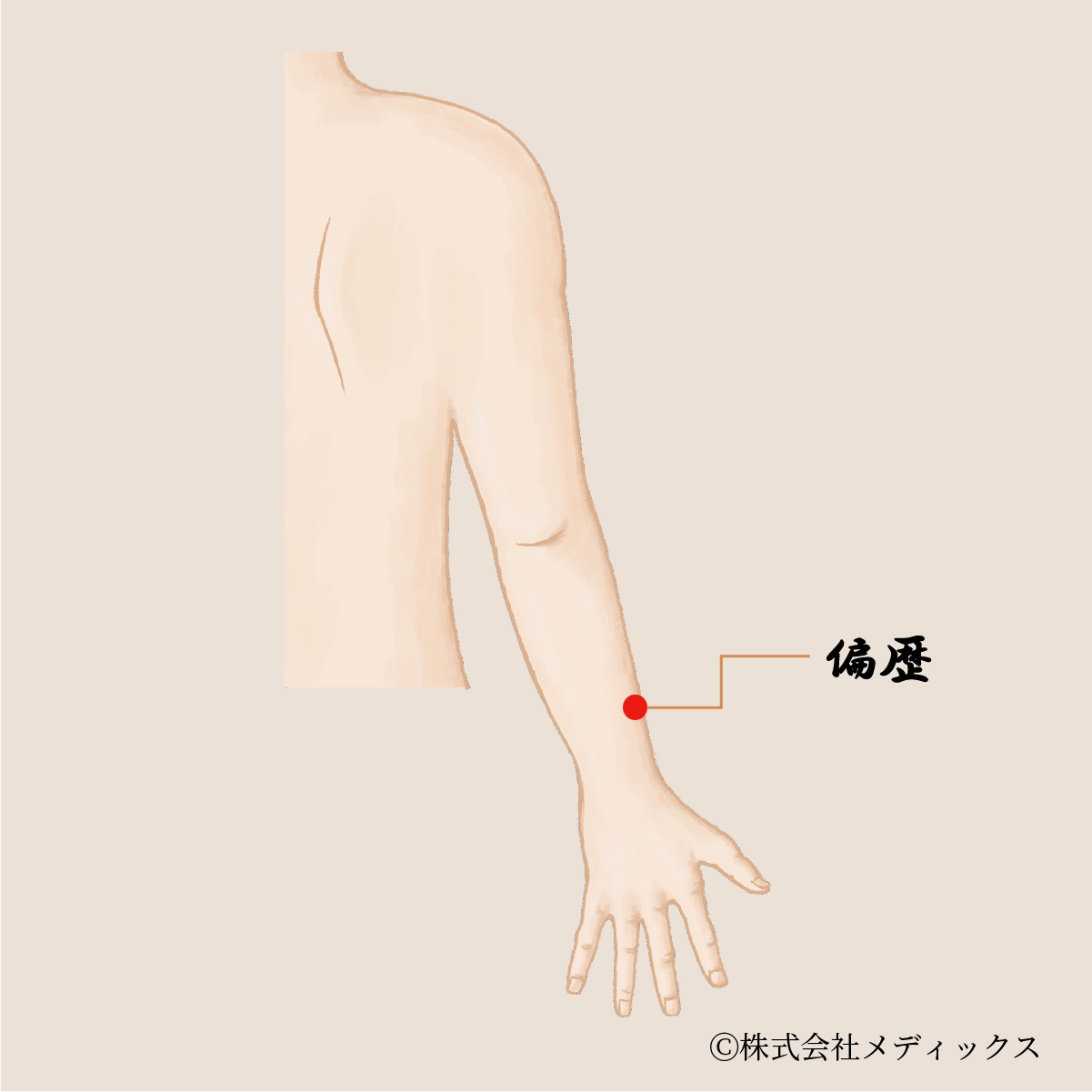 【偏歴】手首から肘にかけての重要なツボ