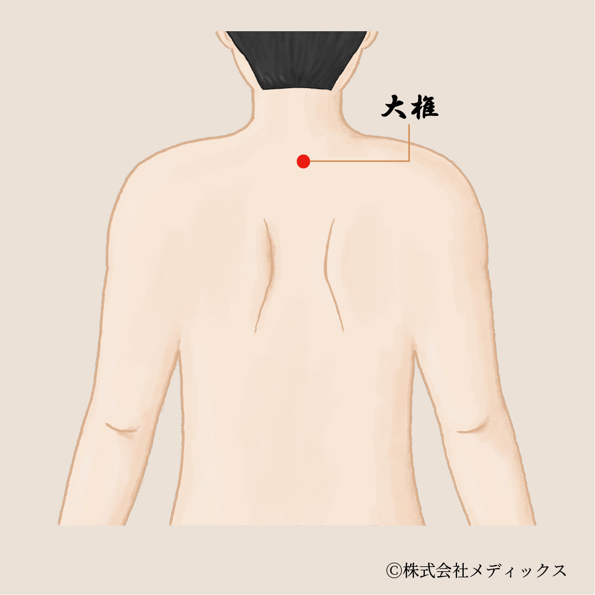 【大椎】首の付け根の重要なツボ