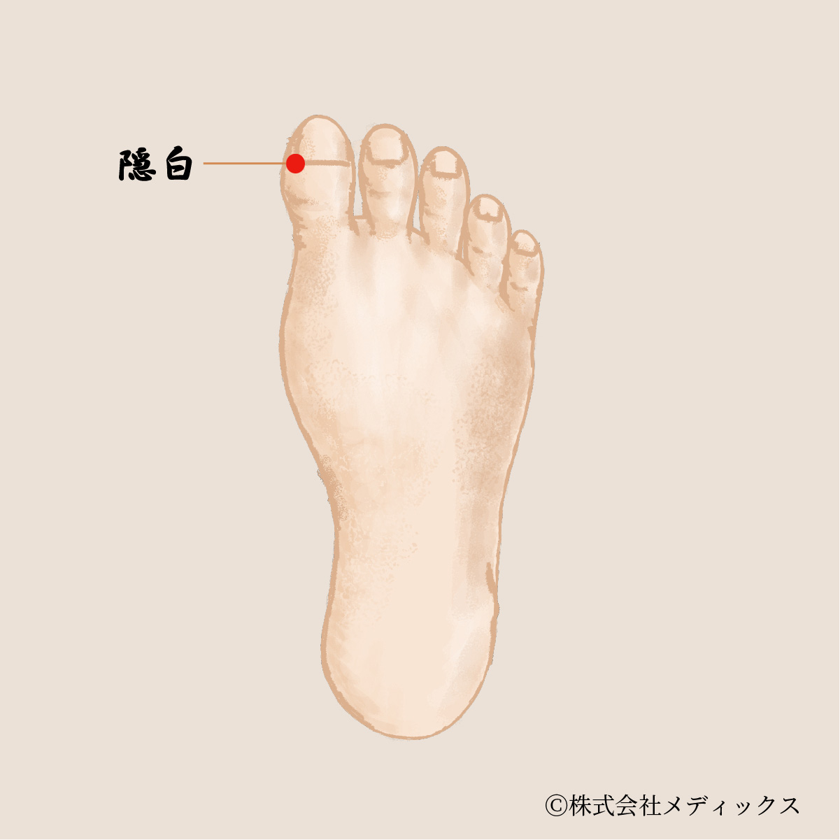 【隠白】内臓機能を整える足の重要なツボ