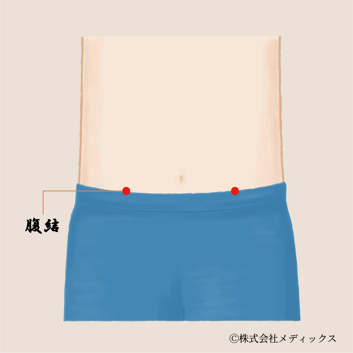 【腹結】消化器の調和をもたらす重要なツボ