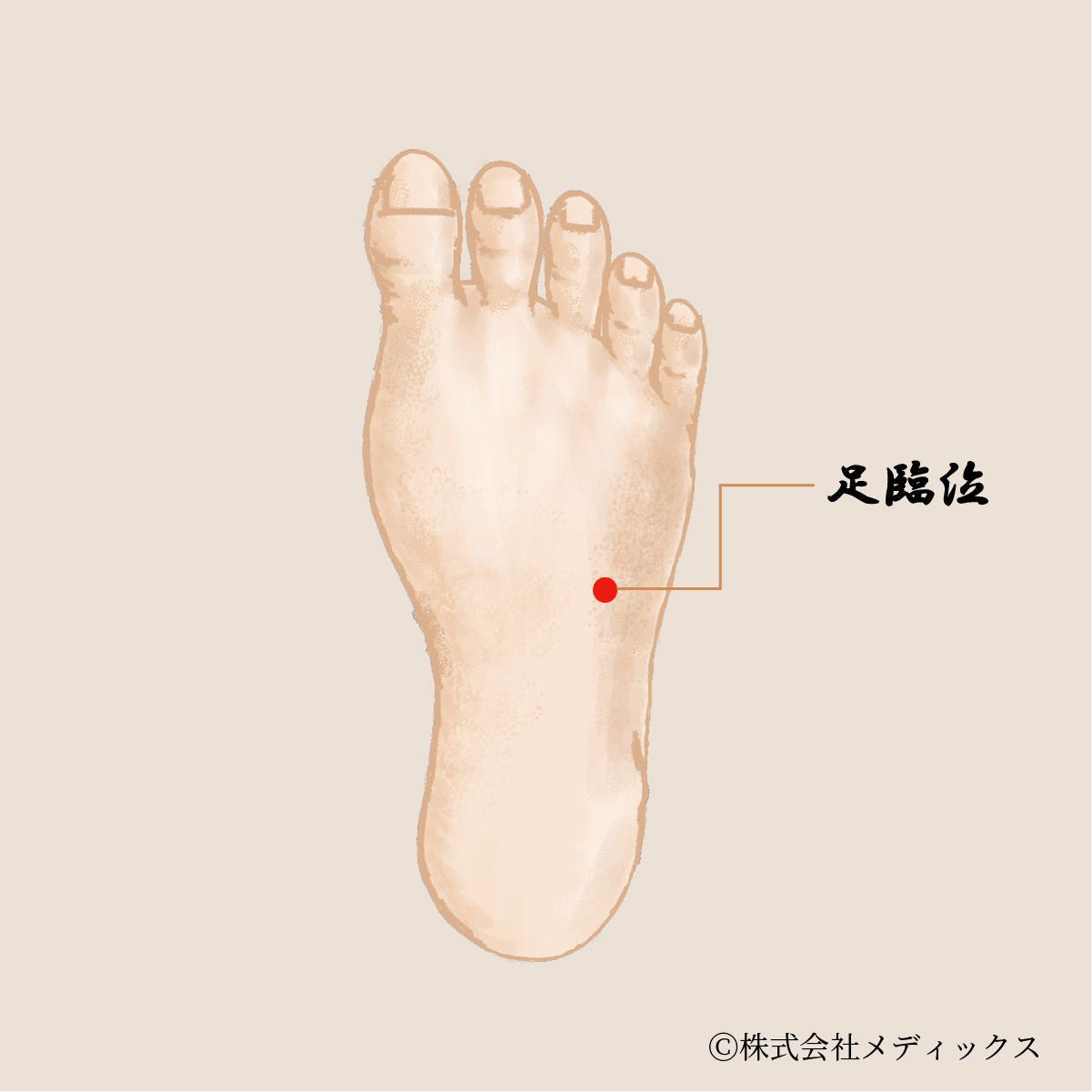 【足臨泣】目の疲れやストレスを和らげる重要なツボ