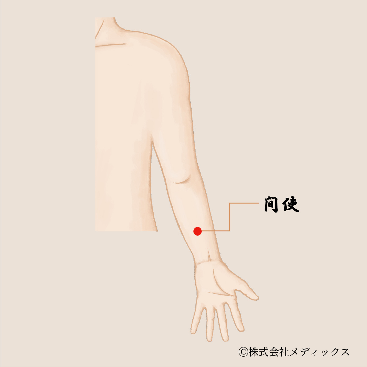 【間使】心と腸の不調を整える重要なツボ