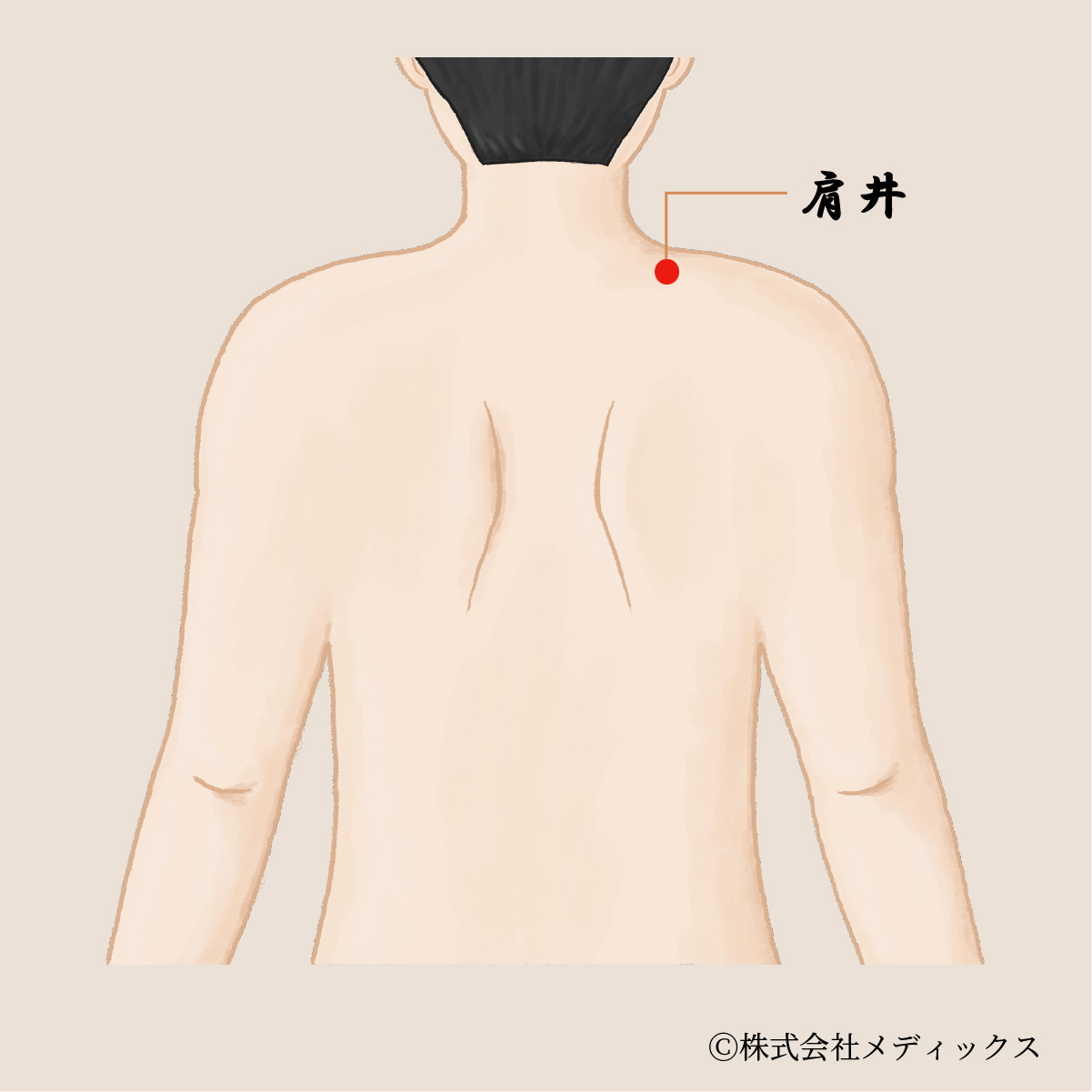 【肩井】肩こりを改善する代表的なツボ