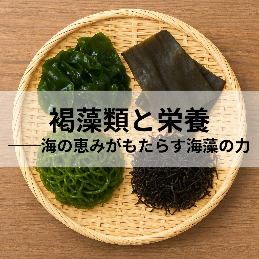 褐藻類と栄養──海の恵みがもたらす海藻の力