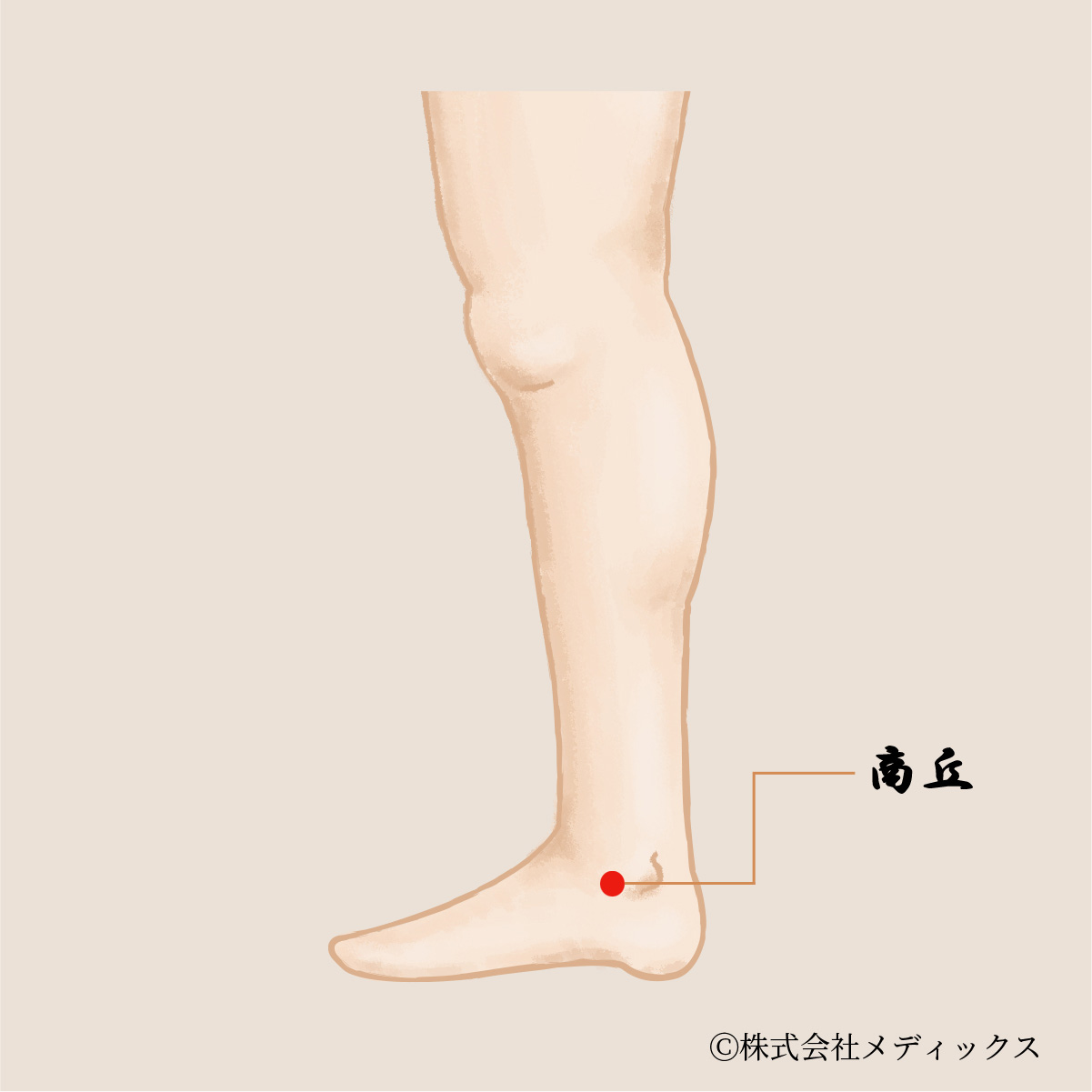 【商丘】精神の安定と消化機能を整える重要なツボ