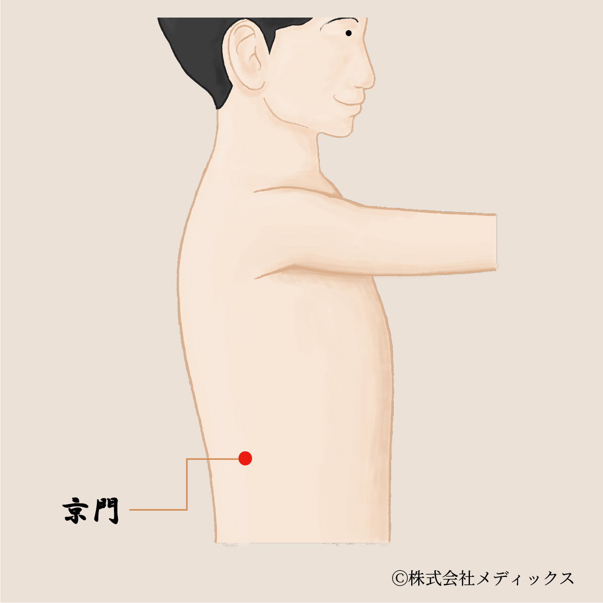 【京門】腎臓の働きを整える重要なツボ