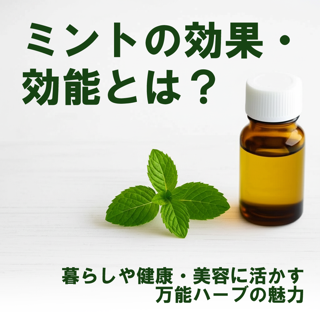 ミントの効果・効能とは?暮らしや健康・美容に活かす万能ハーブの魅力