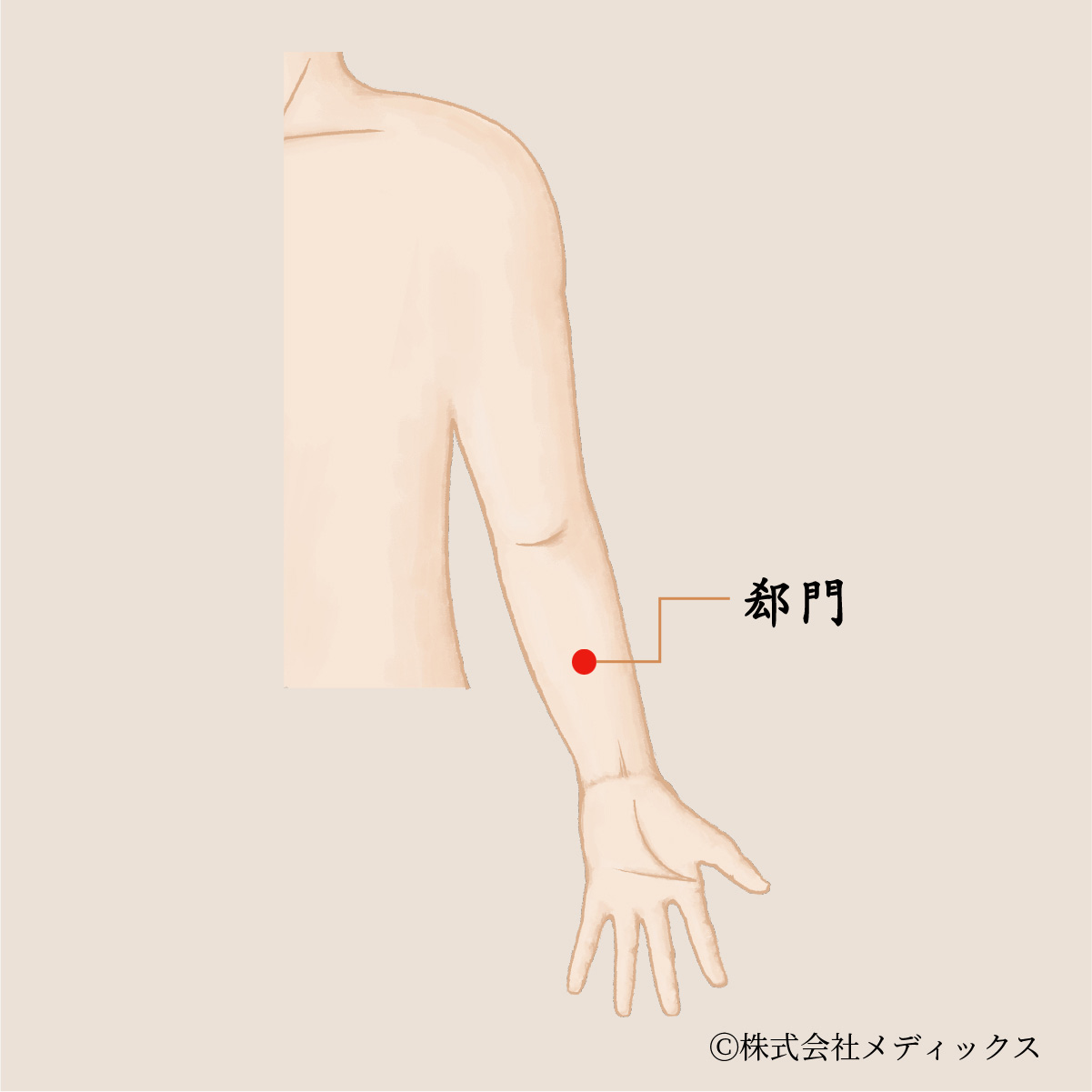 【郄門】心の働きを整える重要なツボ