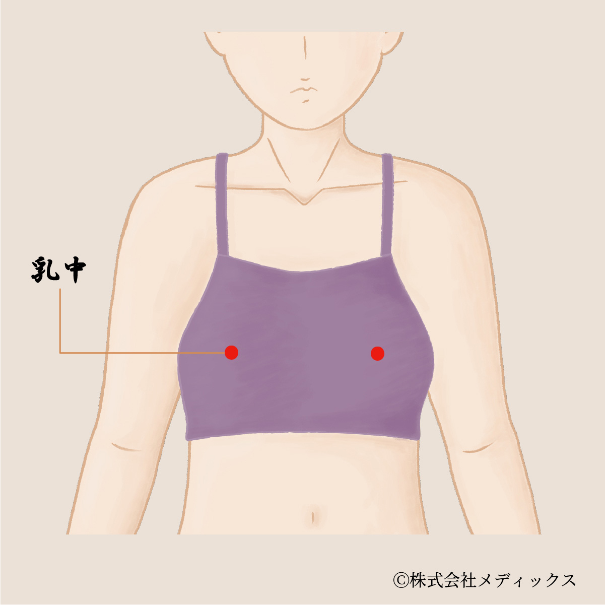 【乳中】胸部と乳房の健康を整える重要なツボ