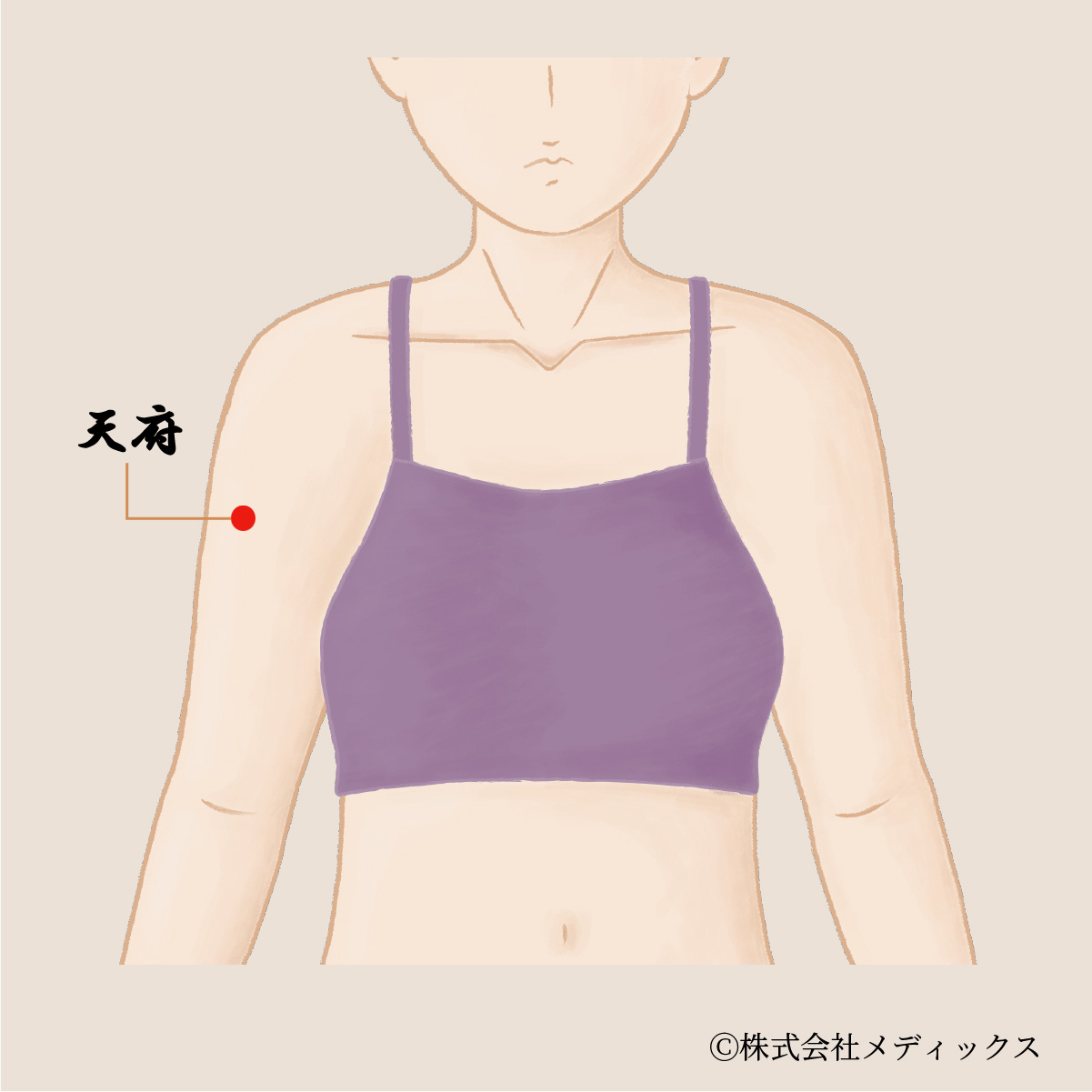 【天府】心と肺の調和をもたらす重要なツボ