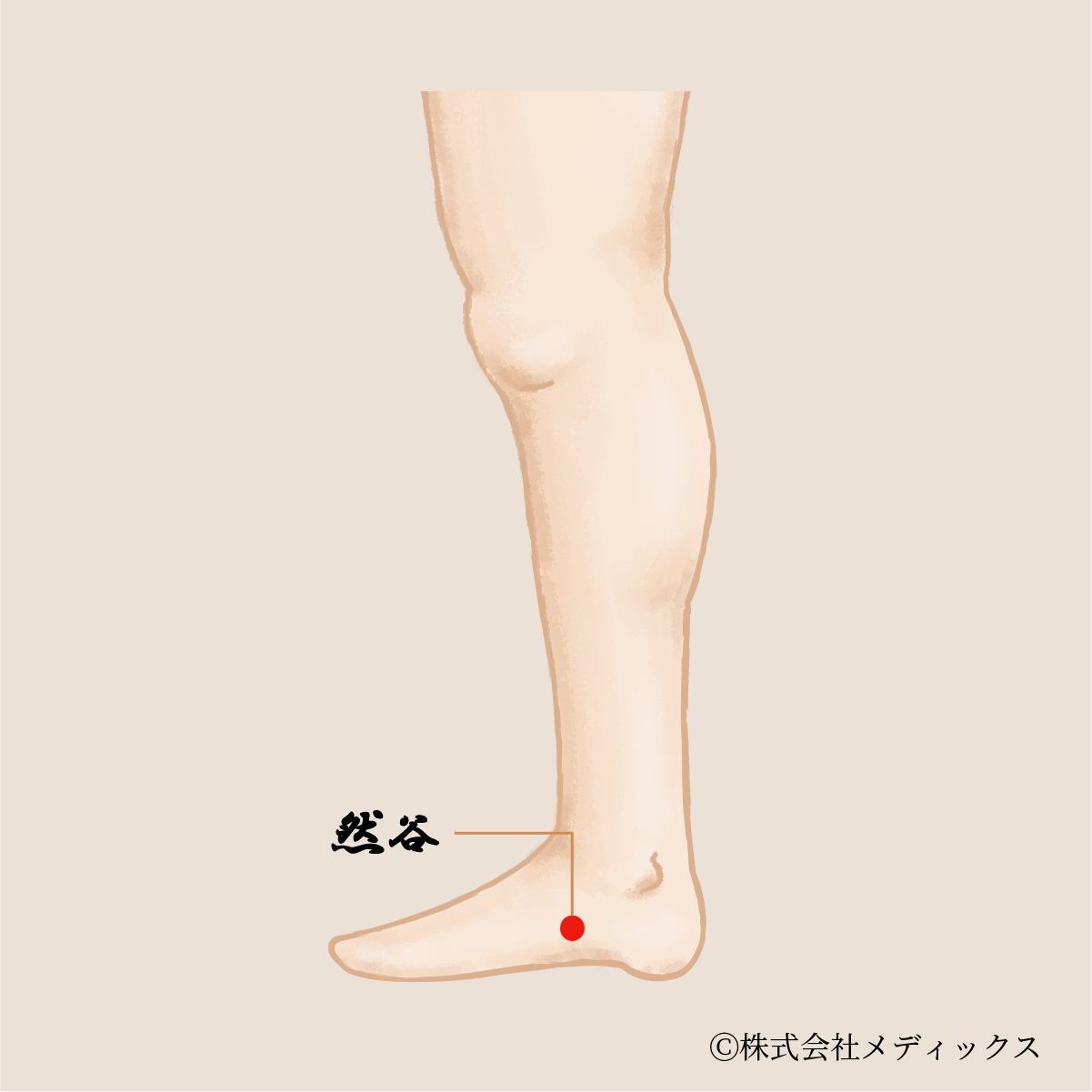 【然谷】腎経の重要なツボ