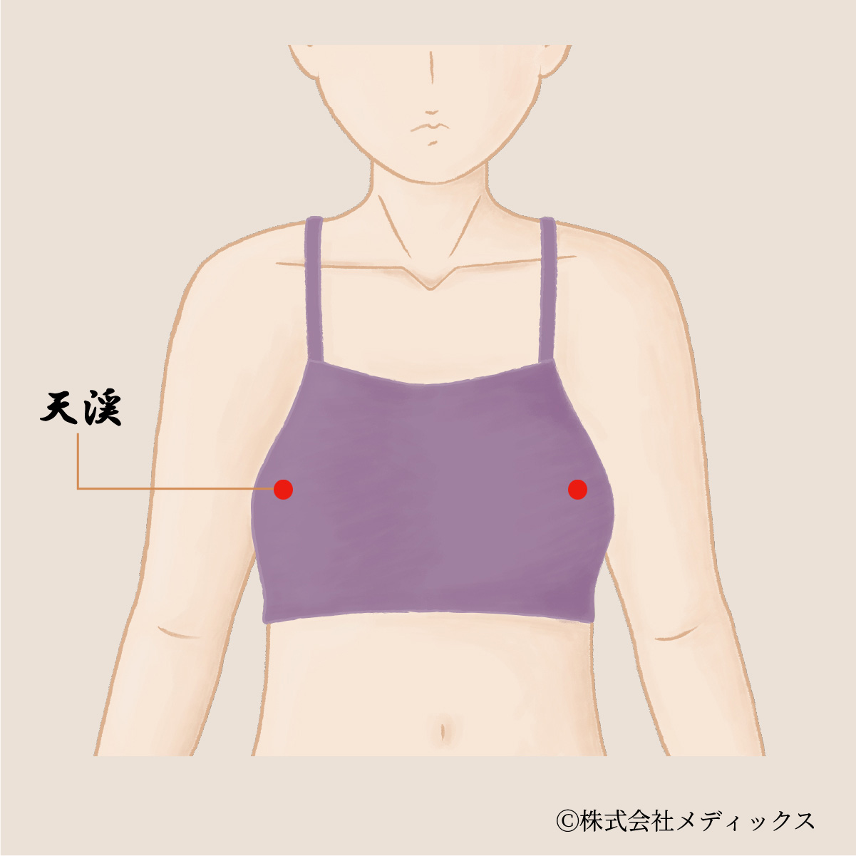 【天渓】乳腺の発達を促進するバストアップのツボ