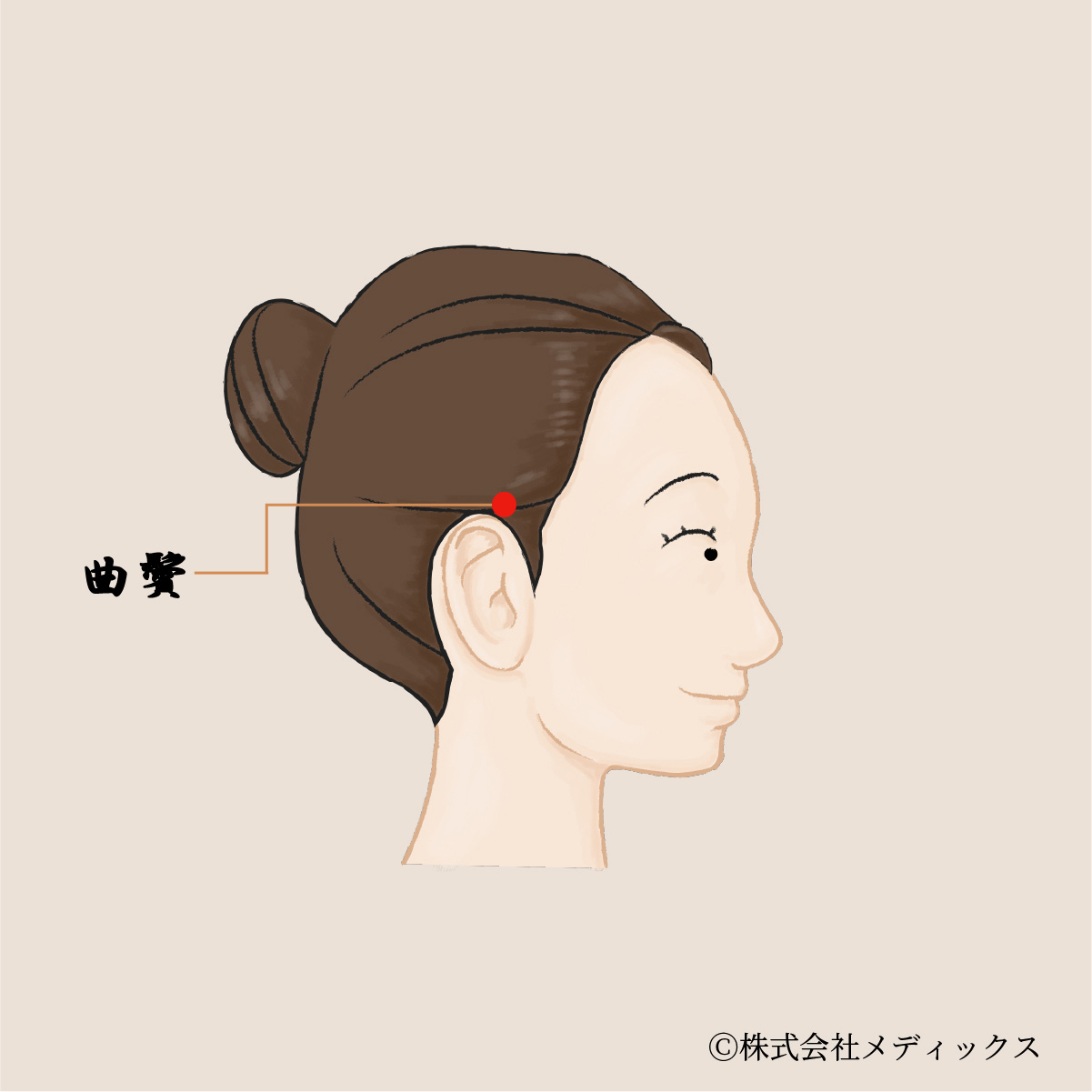 【曲鬢】側頭部の気をめぐらせる胆経の調整ツボ