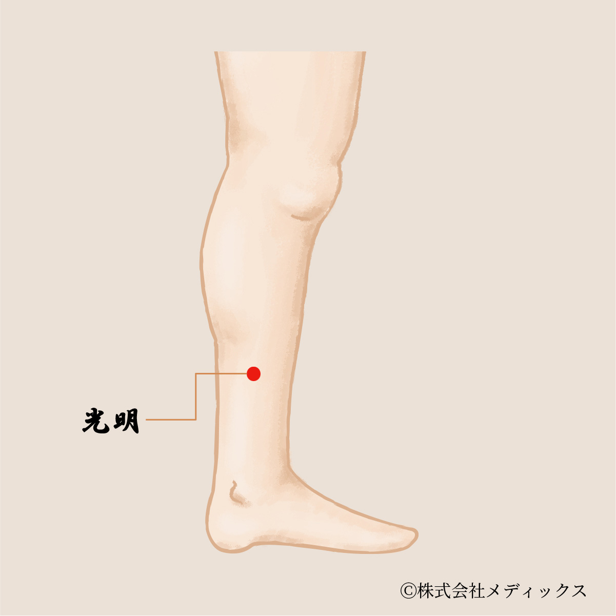 【光明】精神の安定をもたらし全身を照らす重要なツボ