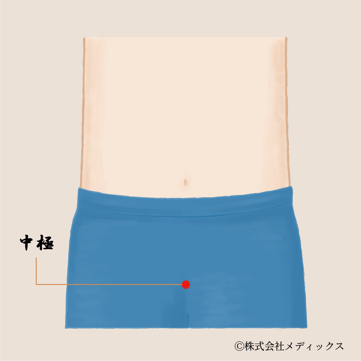 【中極】泌尿生殖器系の健康を支える重要なツボ