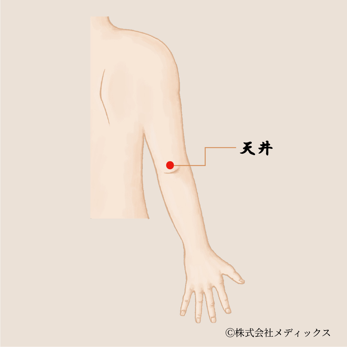 【天井】肩こりや腕の痛みを和らげる重要なツボ