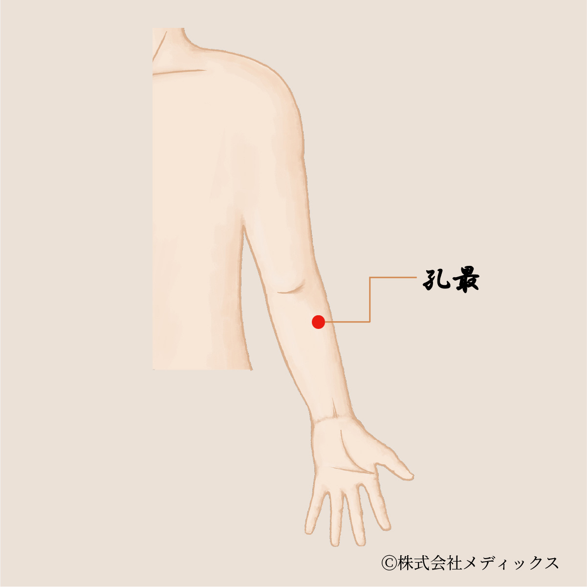 【孔最】咳や呼吸器の不調を改善するツボ