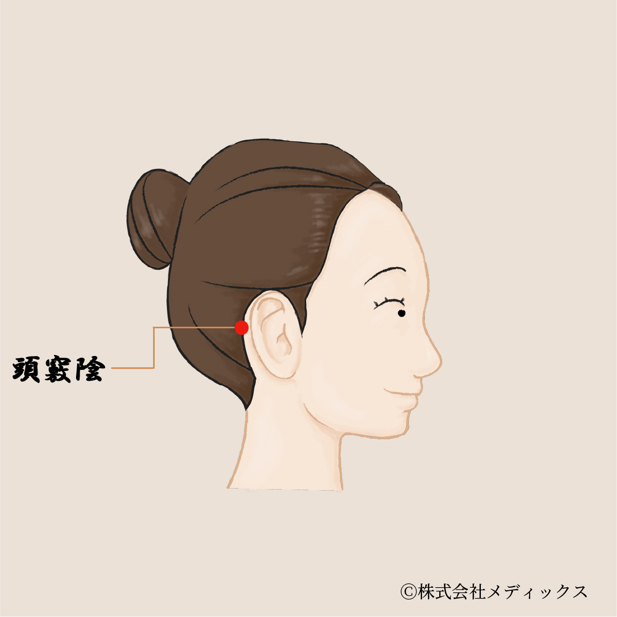 【頭竅陰】耳の奥の不調と頭の巡りを調える静かなツボ