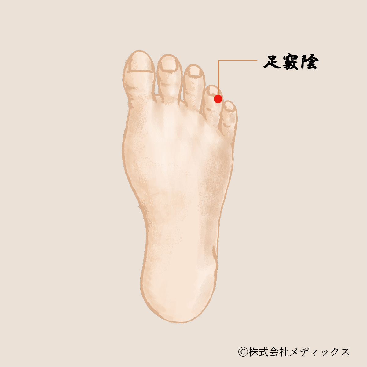 【足竅陰】目の症状を和らげる重要なツボ