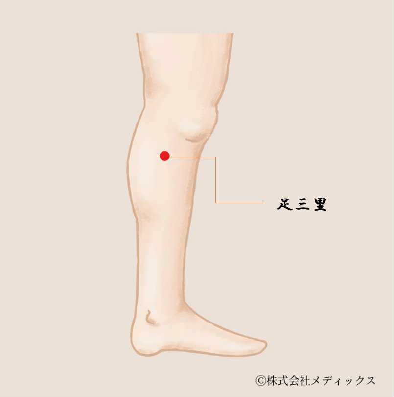 【足三里】胃腸の調子を整える万能ツボ