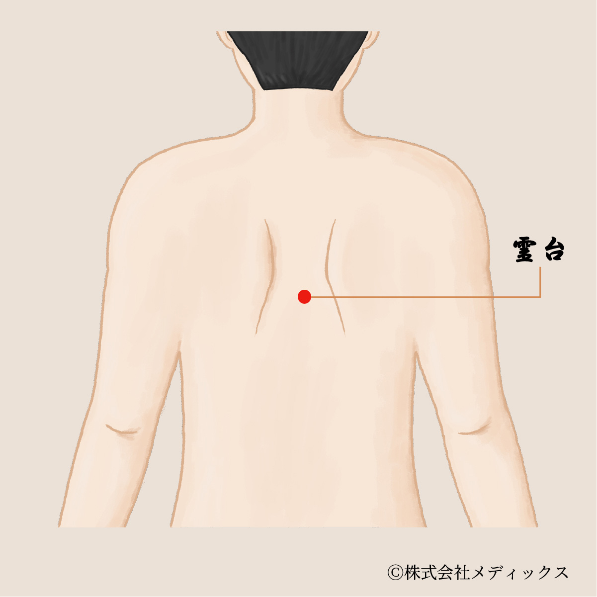 【霊台】心と肺の働きを整える重要なツボ