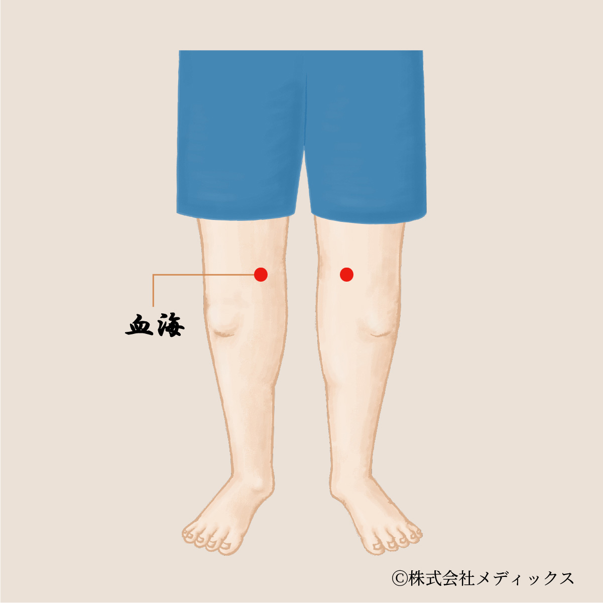 【血海】血の流れを調整する重要なツボ