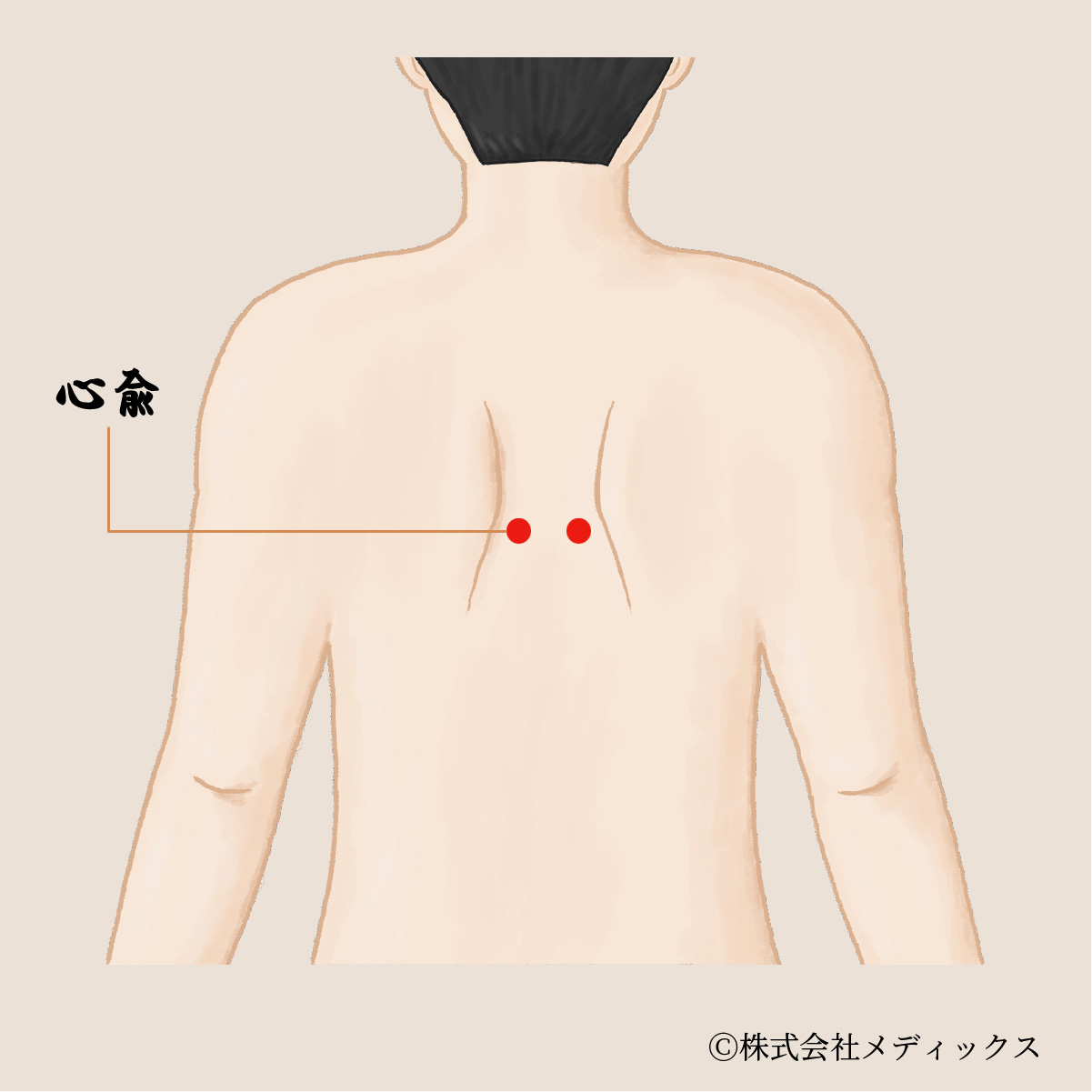 【心兪】心と精神を整える重要なツボ