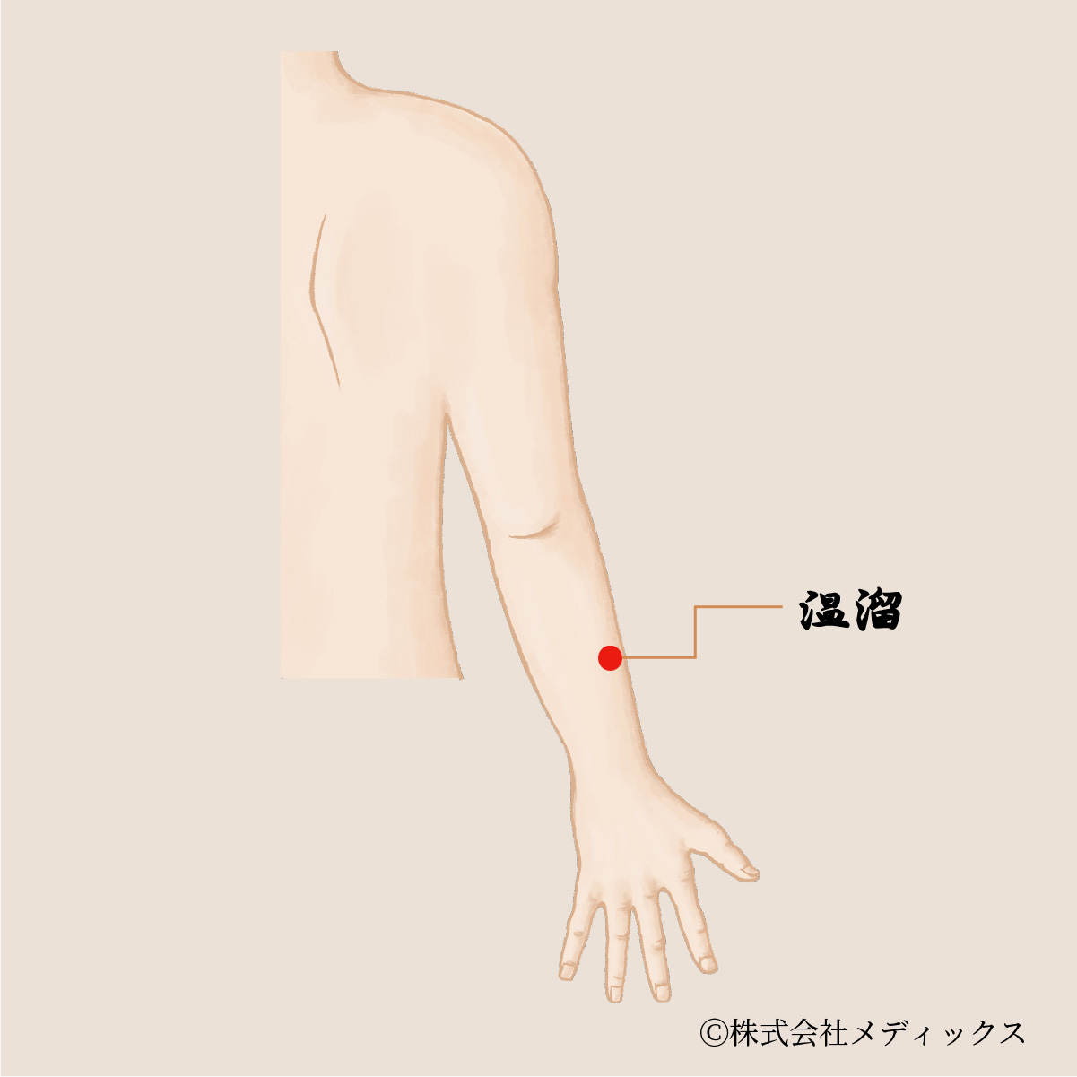 【温溜】痛みを和らげ、急性症状に効く腕のツボ