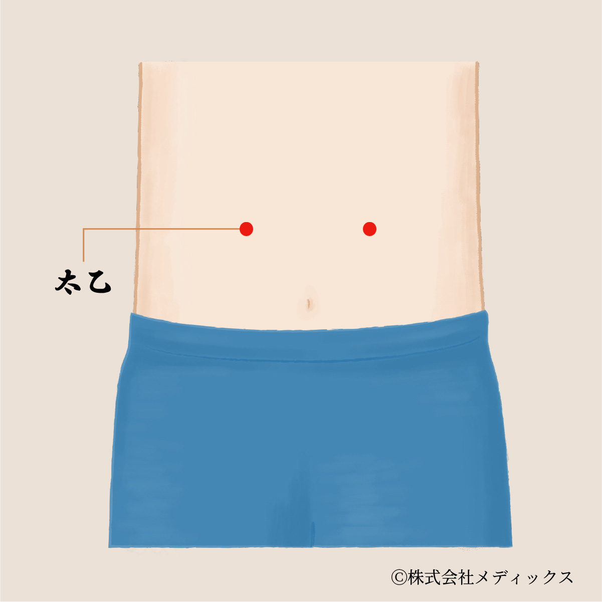 【太乙】胃腸の働きと美容に効果的な重要なツボ