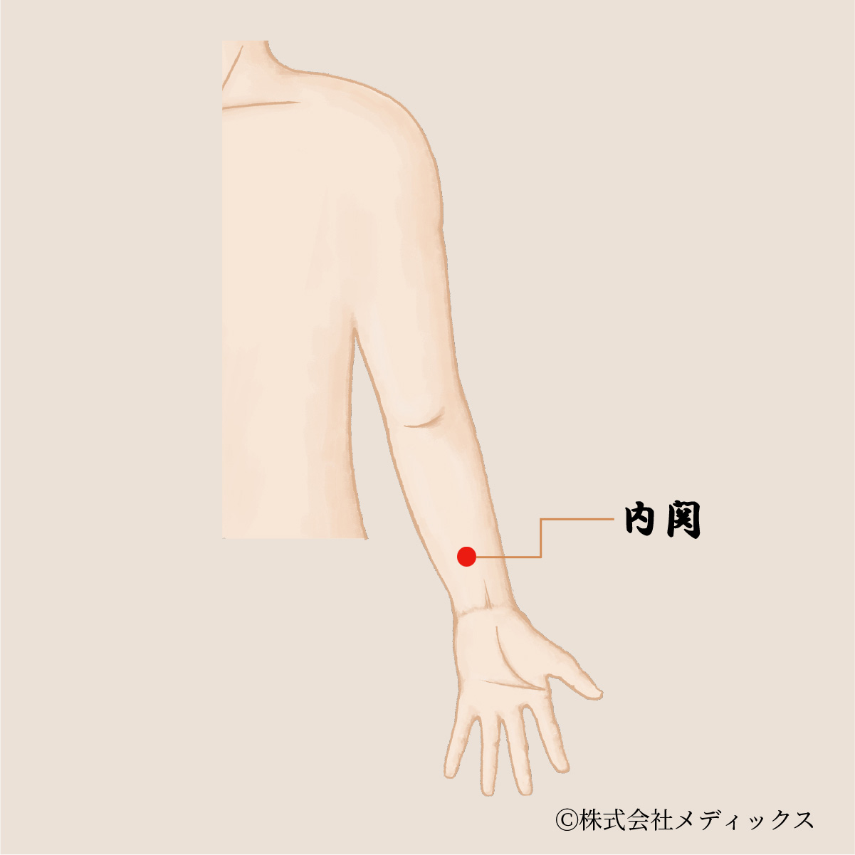 【内関】心身の調和を整える重要なツボ