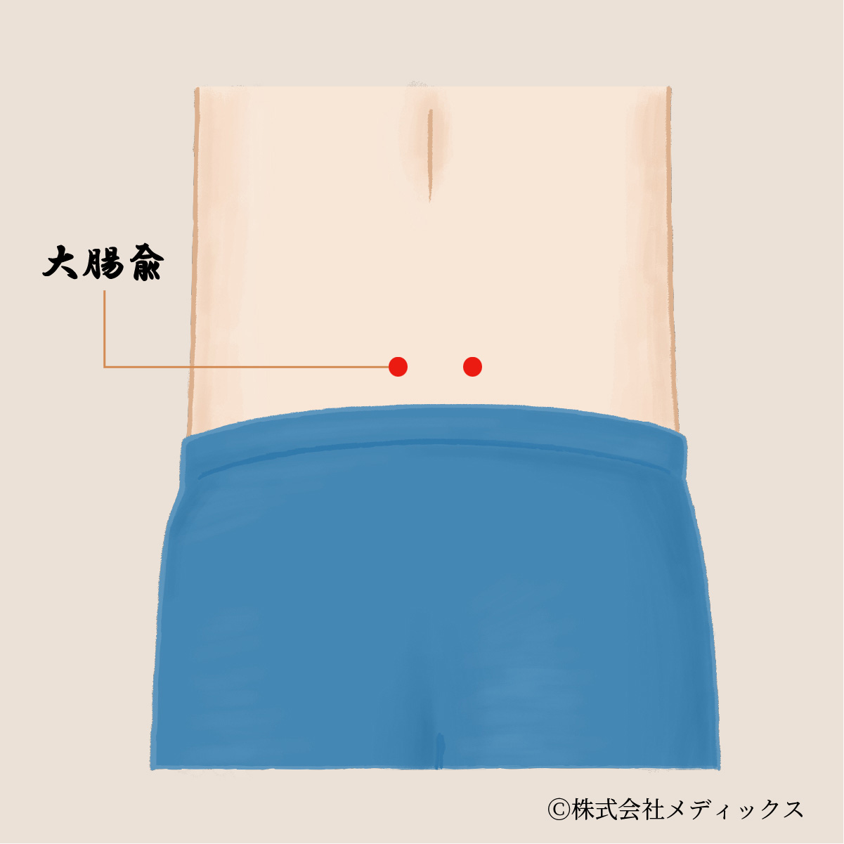 【大腸兪】背中から腸を整える重要なツボ