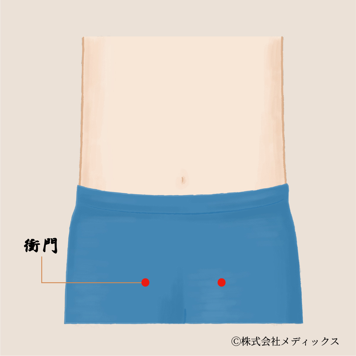 【衝門】全身の気の流れを調える重要なツボ