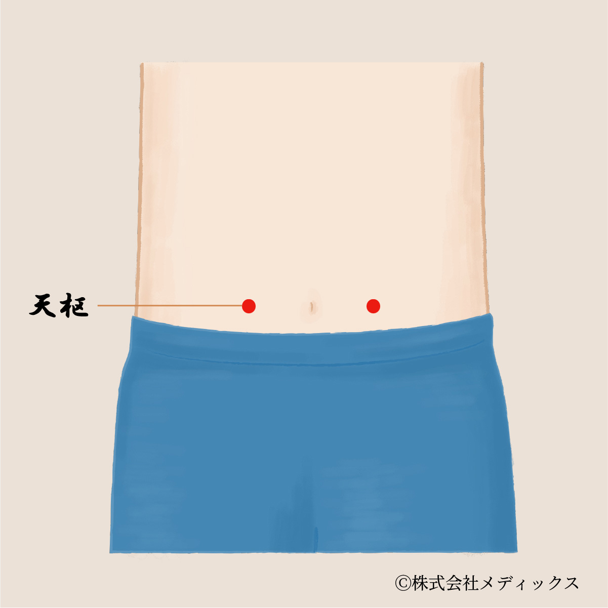 【天枢】消化器系の健康を支える重要なツボ