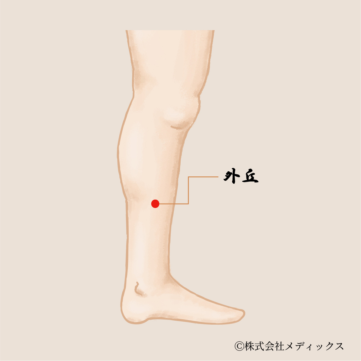 【外丘】頭痛から下肢の痛みまで幅広く効果を発揮する重要なツボ