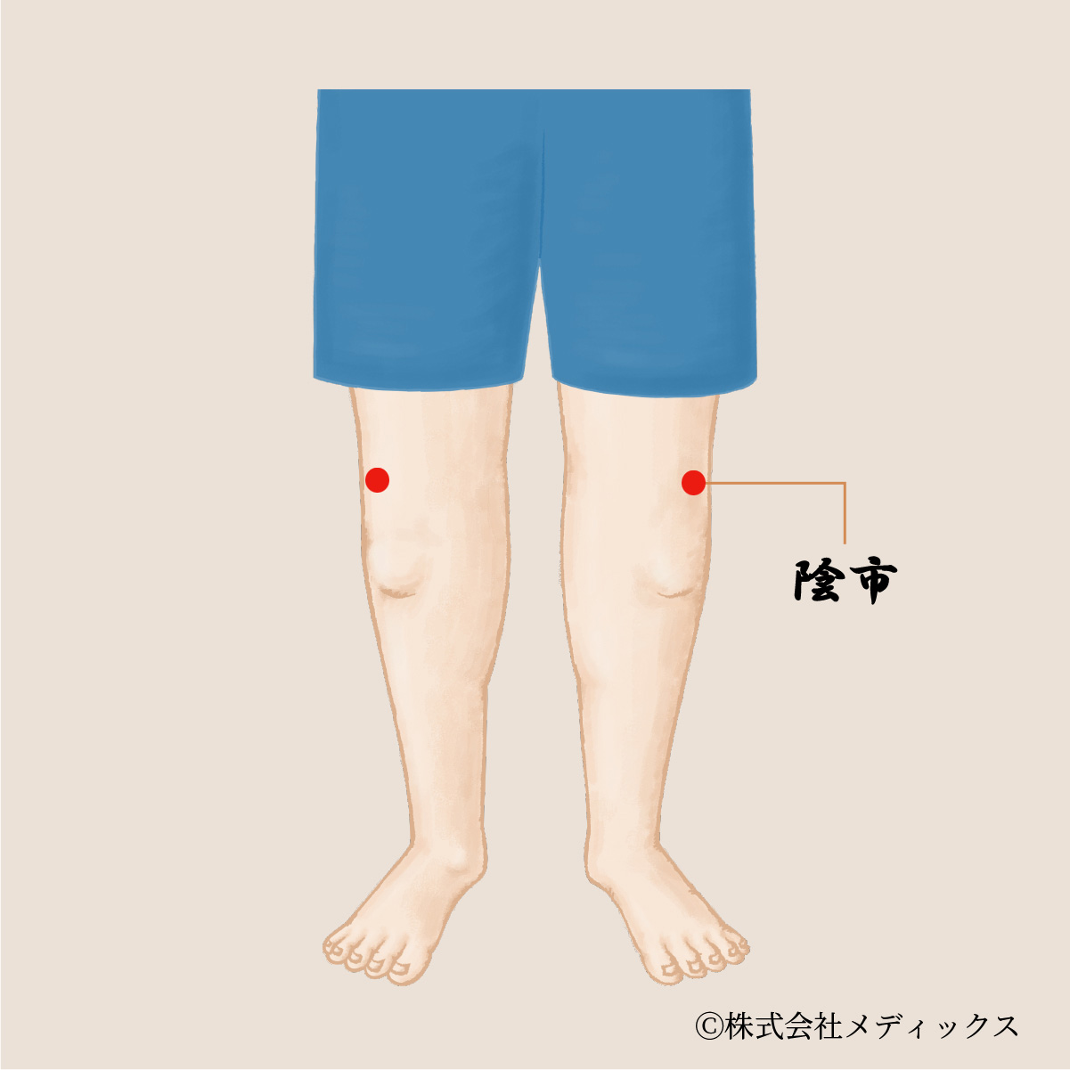 【陰市】膝の冷えと痛みを改善する重要なツボ