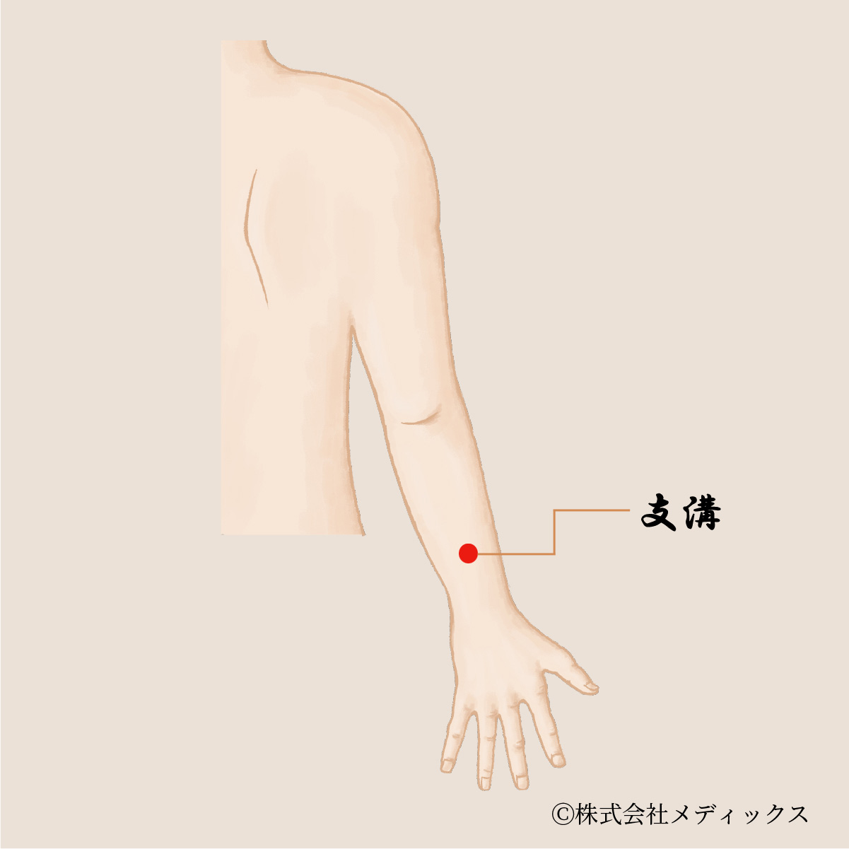 【支溝】腕の痛みとめまいを改善する重要なツボ