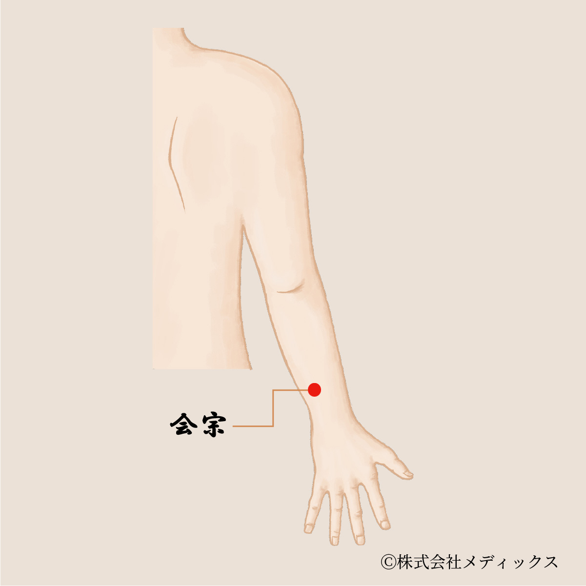 【会宗】手の三陽経が集まる重要なツボ