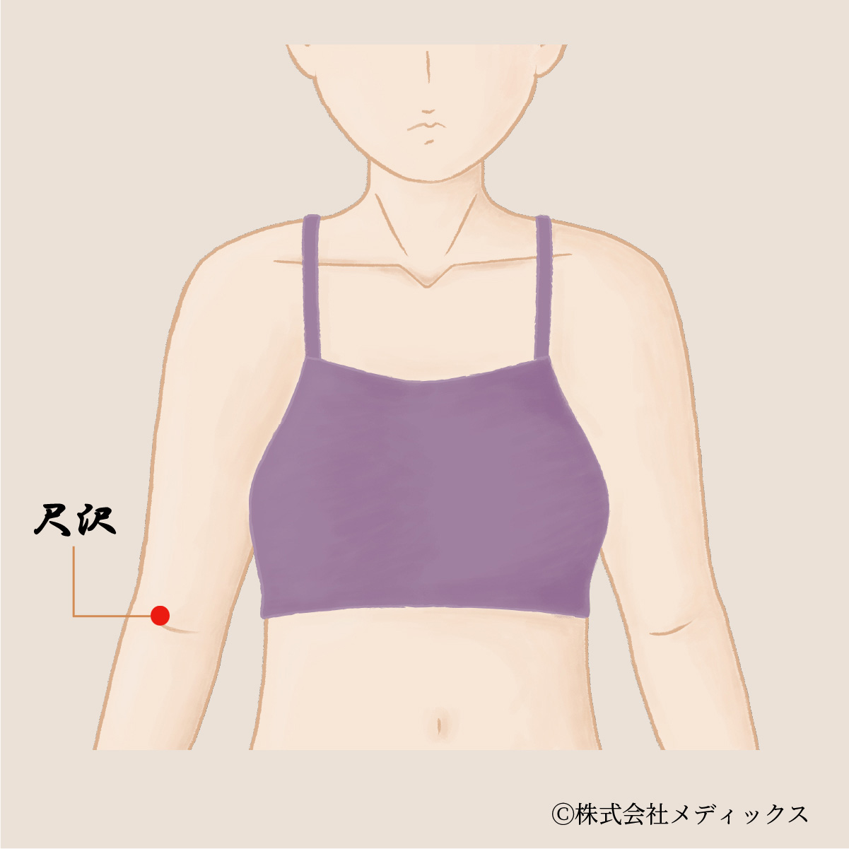 【尺沢】腕の痛みと疲れを和らげる重要なツボ